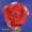 Peter Gabriel Discography