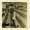 Genesis Discography